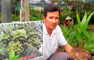 Cây giống “lên ngôi”