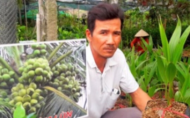 Cây giống “lên ngôi”