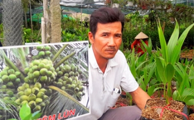 Cây giống “lên ngôi”